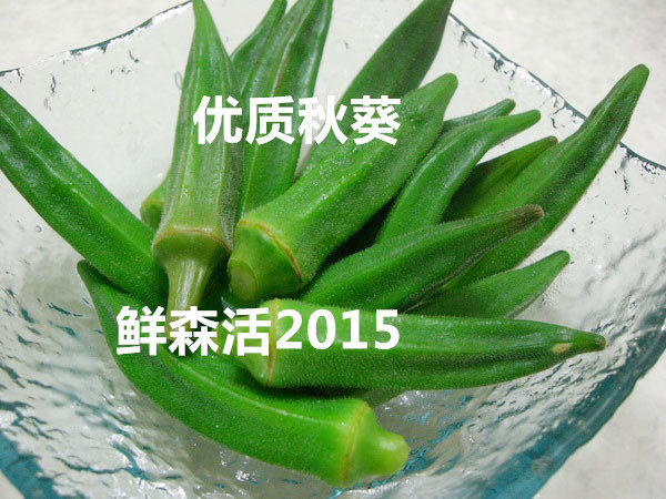 Fresh Akiwa Hexagon Bean Horn 500g arbitrary 6 pieces of Beijing - Tianjin Hebei