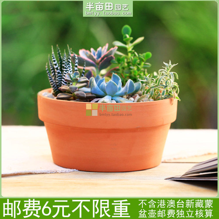 Round Red Pottery Flower Pot Multi Meat Plant Green Planting Tabletop Combined Potted Clay Basin Fine Quality Idea