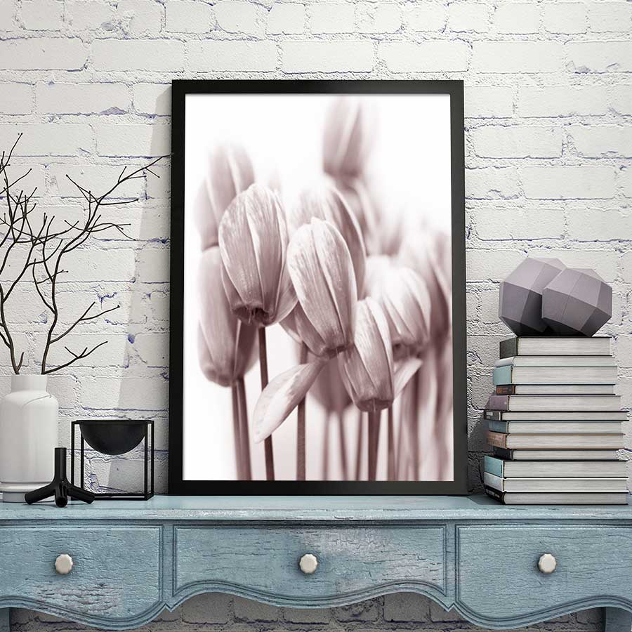 ��˹�ž�ʵľ�����ms2002