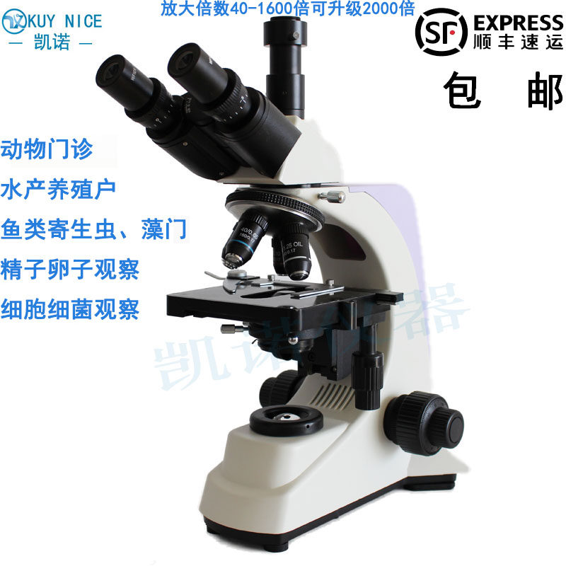 Optical specialty in bi - cat biomicroscopy medical animal outpatient aquaculture cell bacteria 1600 times sperm