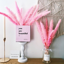 ins decoration Pink reed dried flower bouquet Nordic romantic home decoration small fresh flower arrangement Cafe window