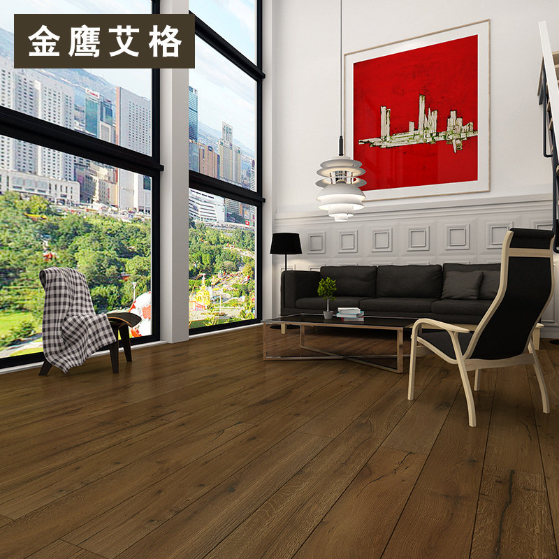 ��ӥ����ʵľ���ϵذ�ds011