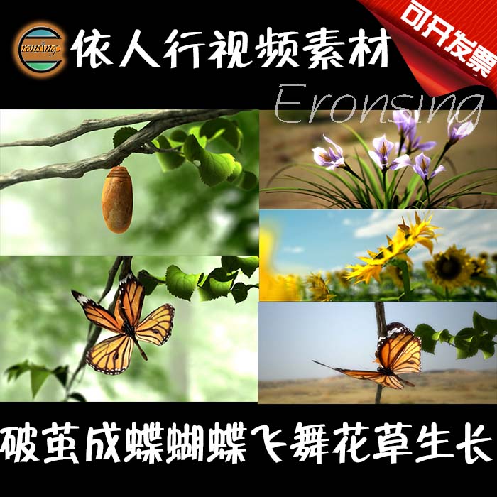 According to the people's walk LED material large screen stage film background material broken cocoons into butterflies and butterflies flying flowers and plants growing