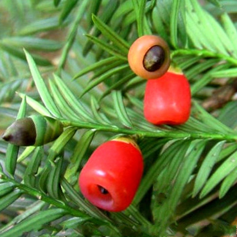 �̴����Ϻ춹ɼ����yunnhds