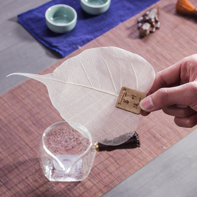 ��Ȼ����Ҷ��©������ 170323