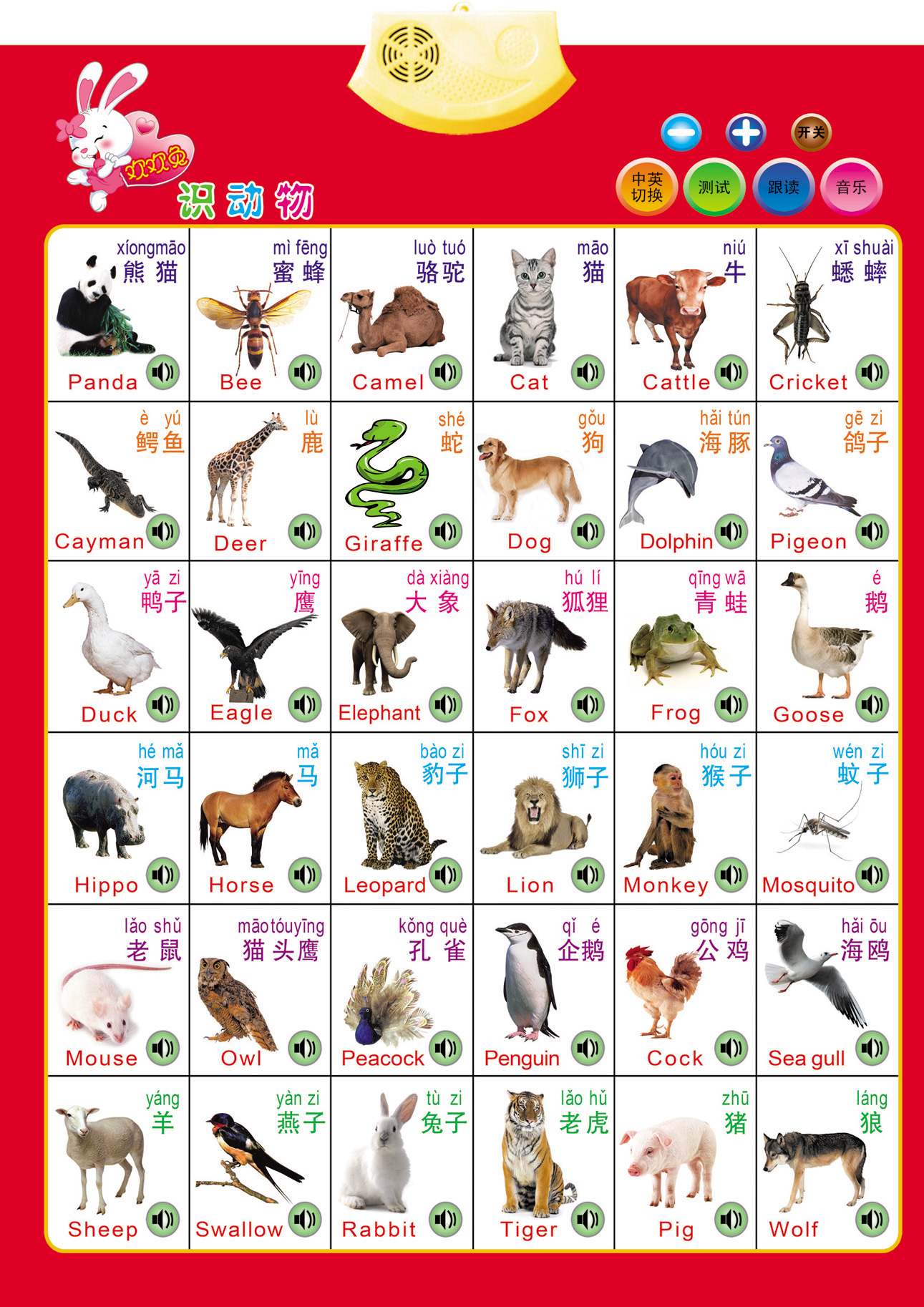 Animal Babies Chart