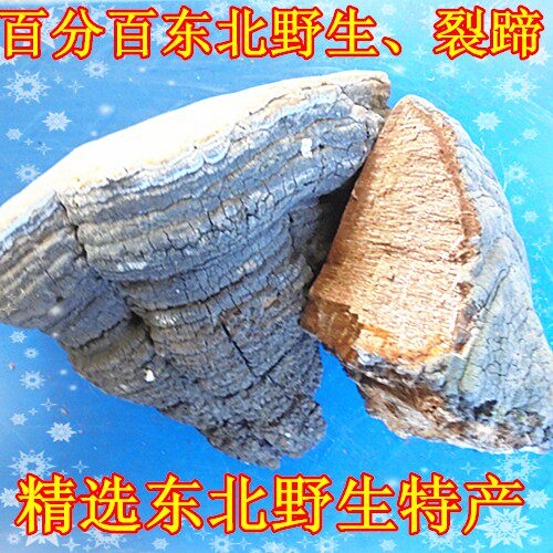 Wild Ganoderma lucidum fungus split hoof split hoof wood layer hole fungus split hoof needle layer hole fungus 250g