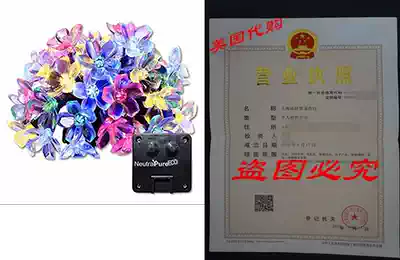 NeutralPure ECO Peach Flower Solar Powered String Lights (5