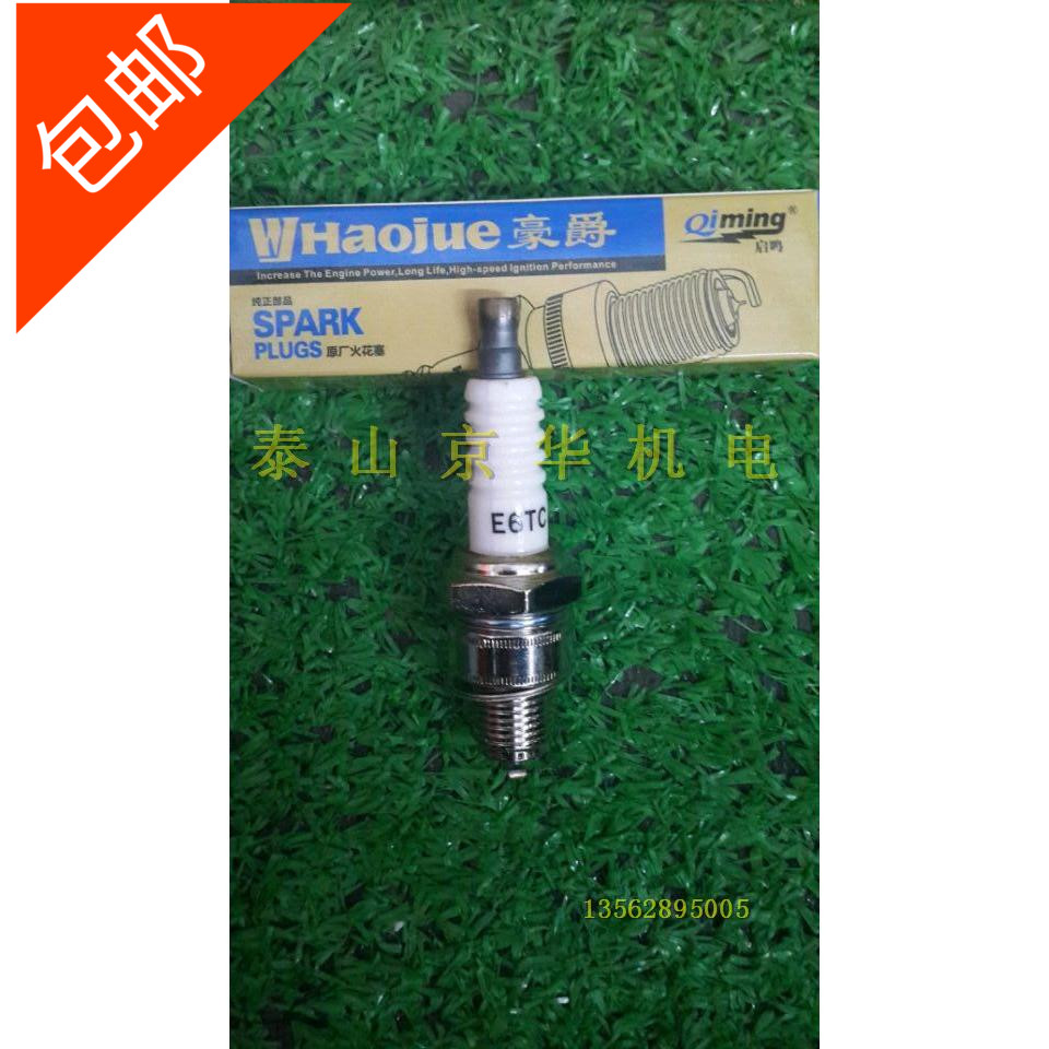 Gasoline Generator Gasoline Engine Lawn Mower Spark Plug Haojue Spark Plug E6TC