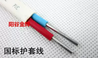 Wire and cable 2 core aluminum core hard sheath wire BLVVB2X4 square National Standard 100 meters