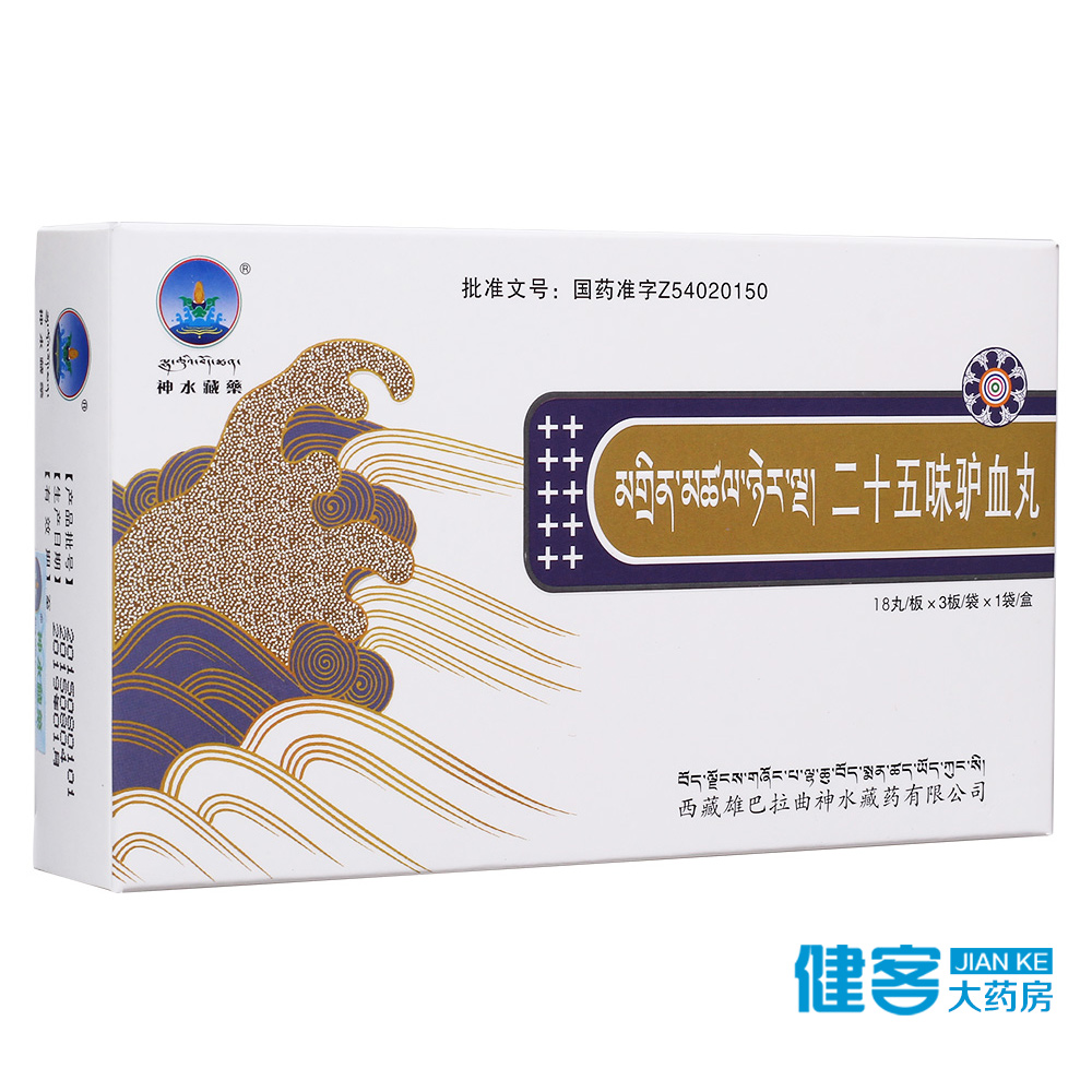 雪王山 二十五味驴血丸 0.25g*54丸/盒