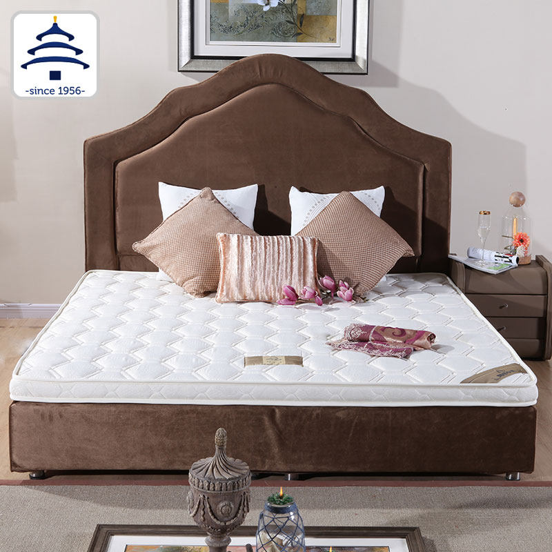 ��̳�Ҿ߱�����W149-003