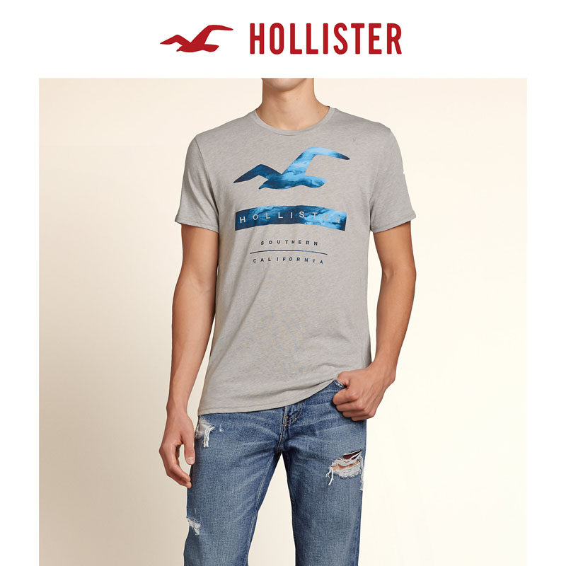 Hollister 标识图案 T 恤 男 113767