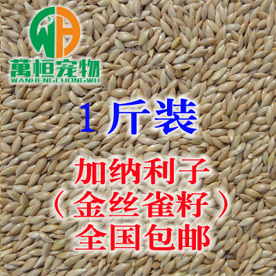 New products Imported feed Ghanaian Li Parrot Bird Oil Tip White Poppy Lu Seed Bird Grain 500g