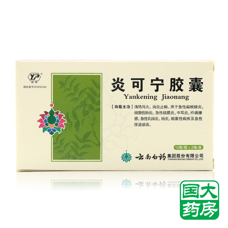 云丰 炎可宁胶囊 0.3g*24粒/盒