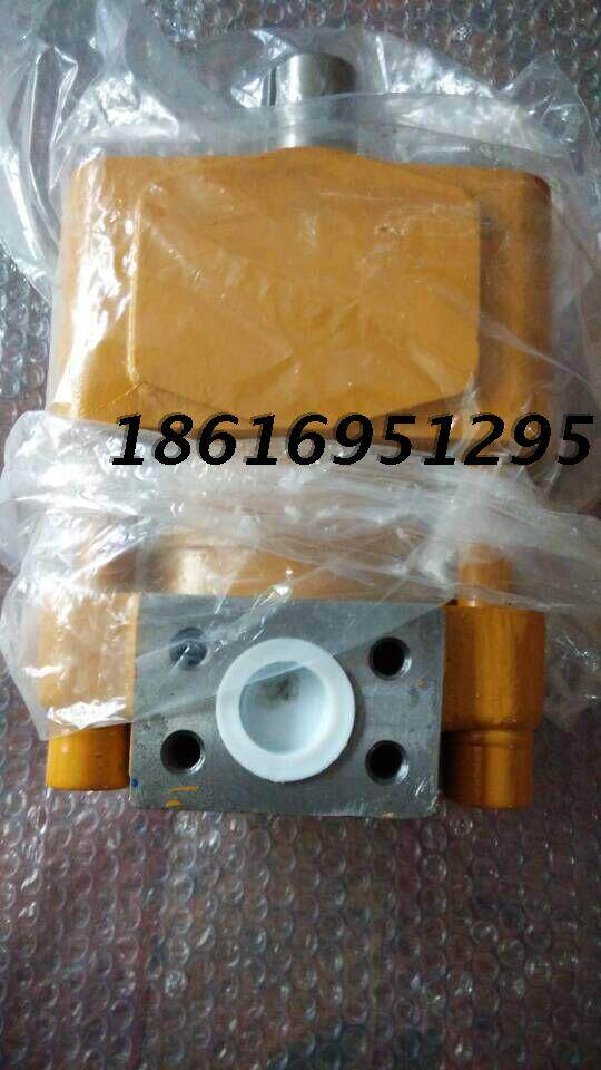 Shanghai Hangfa new product NBZ2-C32F internal meshing gear pump can be changed according to the requirements of the oil port