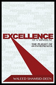 【预售】Excellence at a Minimum: The Plight of an Entrepr