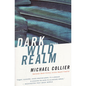 Dark Wild Realm（ISBN=9780618919918）