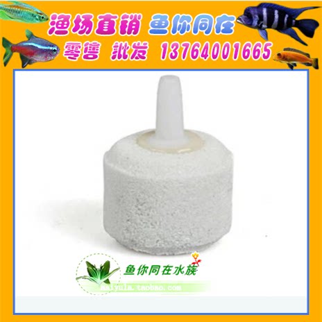 Oxygen head out to uniform bubble stone outgassing head shader small oxygen pump special