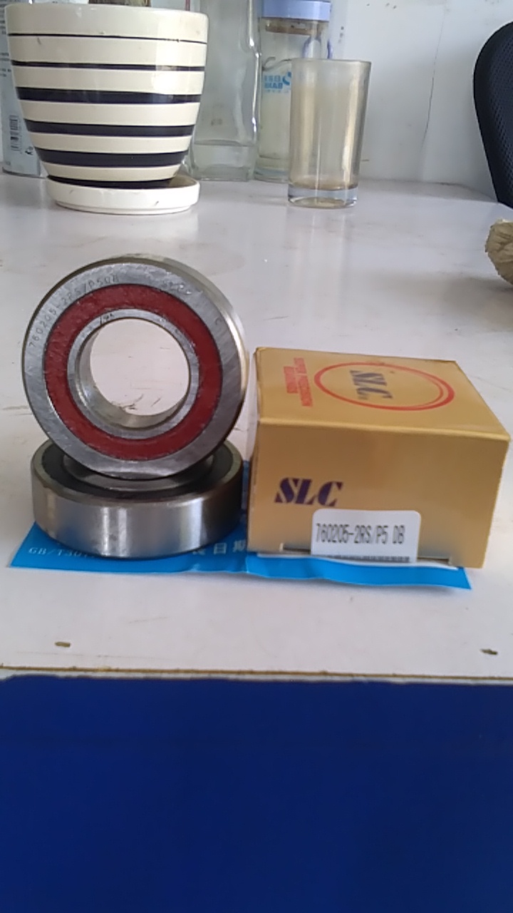 Wuxi tri-seal screw bearing wire rod bearing 760205P5DBB (7602025)