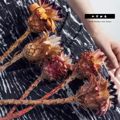 Imported dried flowers Imperial flowers Black feather little princess flower arrangement Floral materials Eternal flowers Real flowers home bed and breakfast decoration