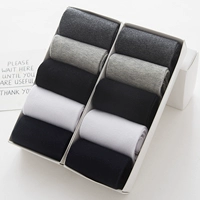 Vớ nam Cotton khử mùi cho nam Kinh doanh vớ cotton đen cho nam Mùa xuân và mùa hè Vớ màu rắn Bốn mùa vớ nam tất nam cổ trung