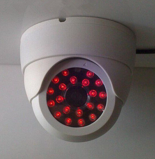 Connect 220V electric conch simulation light control camera Light control sensing hemispherical full light Connect electric simulation camera