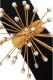 Ellery Rainbow Wheels Velvet, Gold-Plated, Pearl Choker-Style Necklace Discount