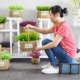 Hoa nhân tạo trang trí chuông vàng liễu giả bó hoa rơm dệt sáng tạo chậu trang trí nhà nhựa trang trí cây - Trang trí nội thất cách decor phòng ngủ Trang trí nội thất
