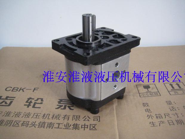 CBTt-F310F3P7 gear pump