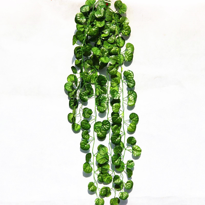 ���Ϸ��滨�������ܳ����ټٻ�fzmt