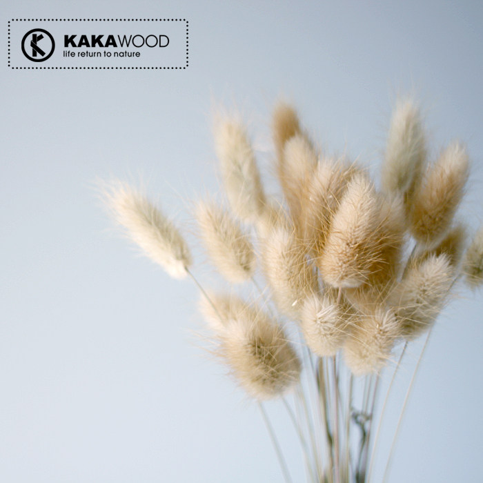 kakawood�Ҿ���װ��Ʒ�ɻ� ��β��