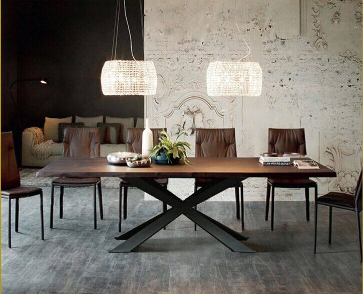 ֪������CZ0113077