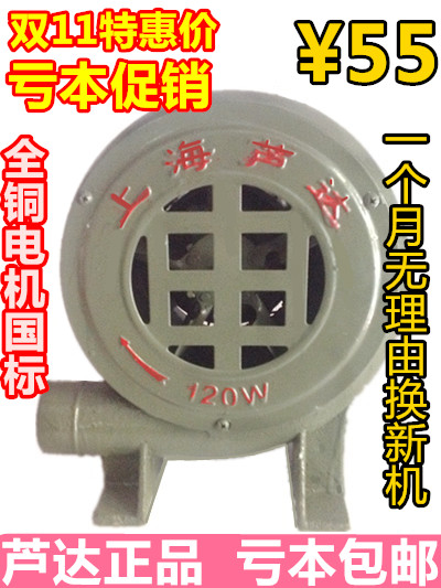 Cast iron pig iron gas mold Centrifugal blower stove fan Grill 220V AC home CZR