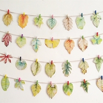 Creative postcard Hemp rope wooden clip Photo wall Dormitory room background wall decoration Wall decoration Hanging decoration