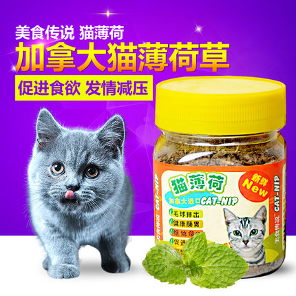 猫薄荷 美食传说加拿大猫薄荷草 薄荷叶175ml 猫草猫咪零食去毛球