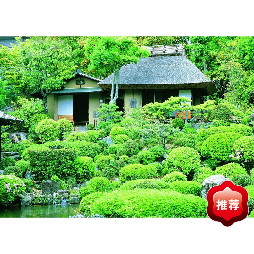 Invoicing financial management 50 user online version Invoicing management financial management installation video