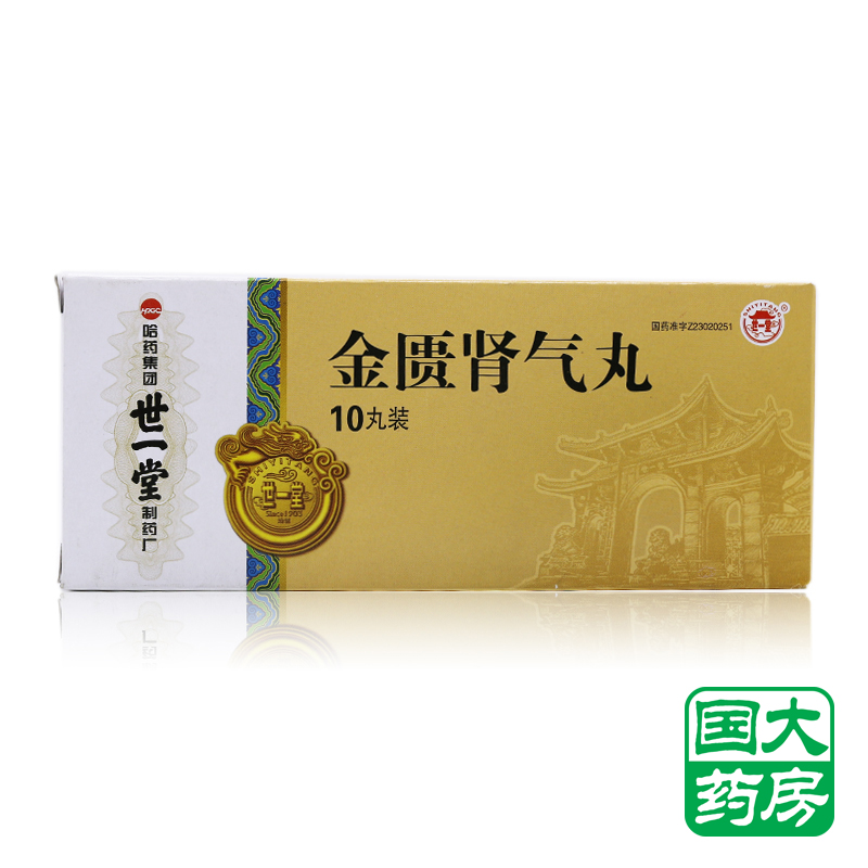 世一堂 金匮肾气丸 6g*10丸/盒