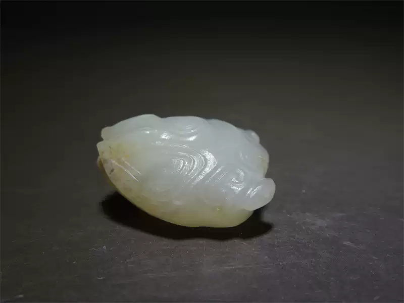 珍品 和田白玉 仔玉（仔料） トップ「蝉」 ◇明神◇極上珍品・中国・清