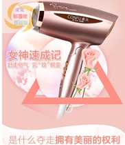Liyuan Street Yasuo KF-3115 professional high power hair dryer hair care hair dryer home folding Blower