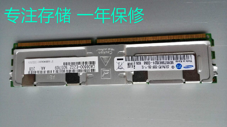 CA06600-E202 38009965 Fujitsu 2GB FB-DIMM Cache
