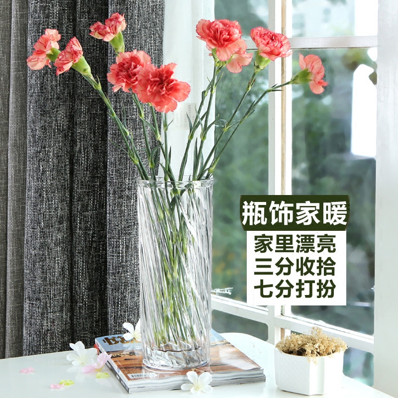 ���Ӻ�͸��������ƿ����