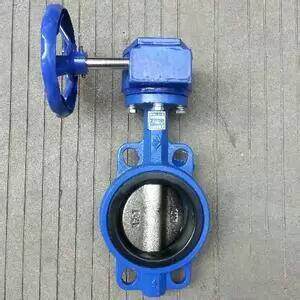 Cast iron turbine pair clamp butterfly valve D371X F-10 16 (can be set as wear-resistant and high temperature resistant) DN40-DN200