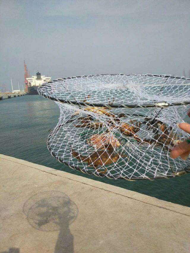 New folding crab cage spring cage round crab cage with net crab cage