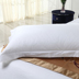 Star hotel gối bông satin gối đơn mã hóa khách sạn trong sạch bộ tabby gối trắng đặc biệt - Gối trường hợp gối ngủ văn phòng Gối trường hợp