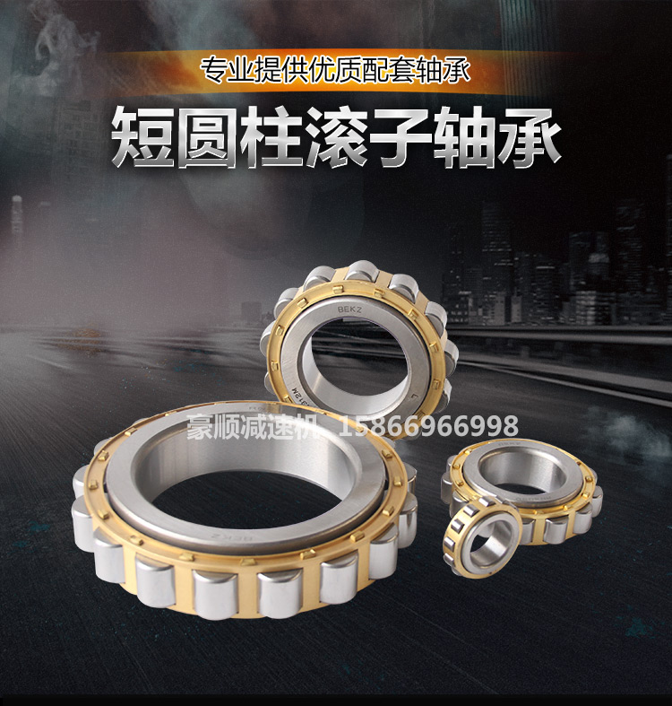 Cycloid needle wheel reducer accessories Daquan Eccentric bearing Eccentric sleeve