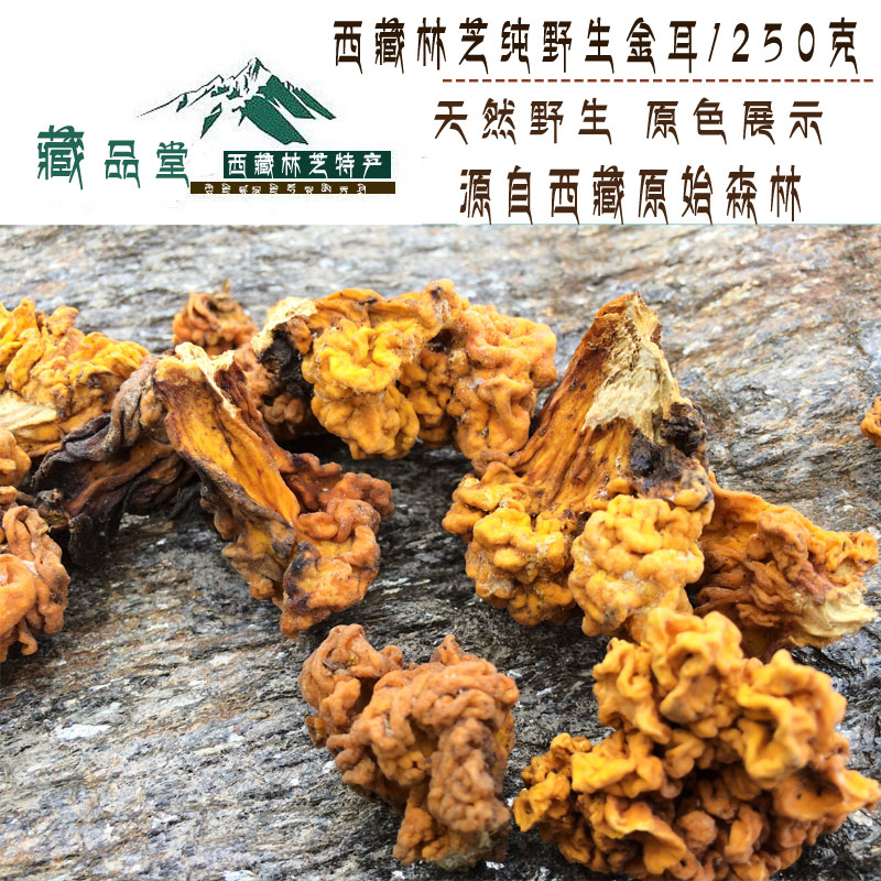 Tibet Linzhi native golden ear golden ear brain ear golden tremella yellow fungus half a catty