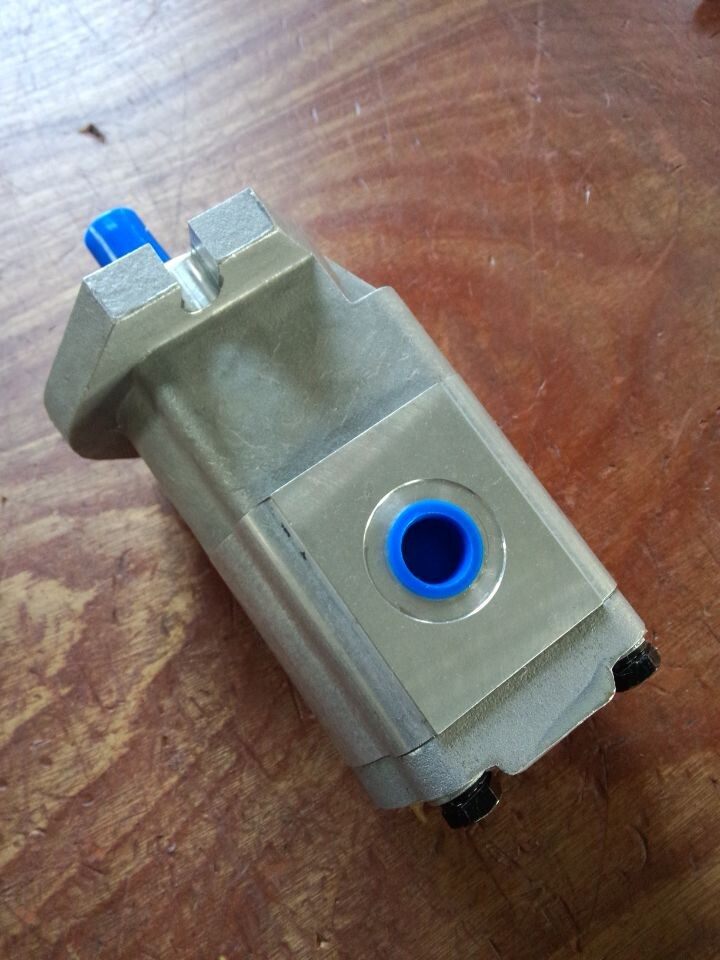 Sany Pump Truck Gear Motor PLM20.25R5 Casapa CASAPPA Air-Cooled Water Pump Motor