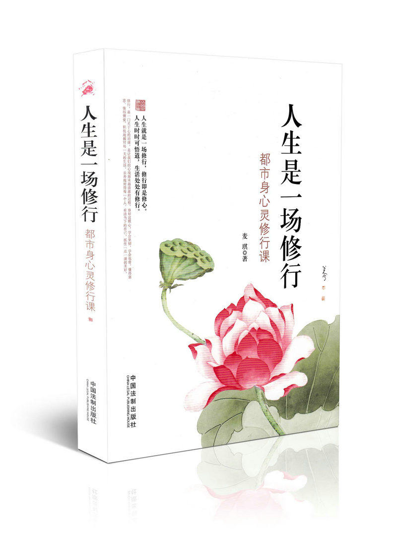 人生是一场修行  都市身心灵修行课