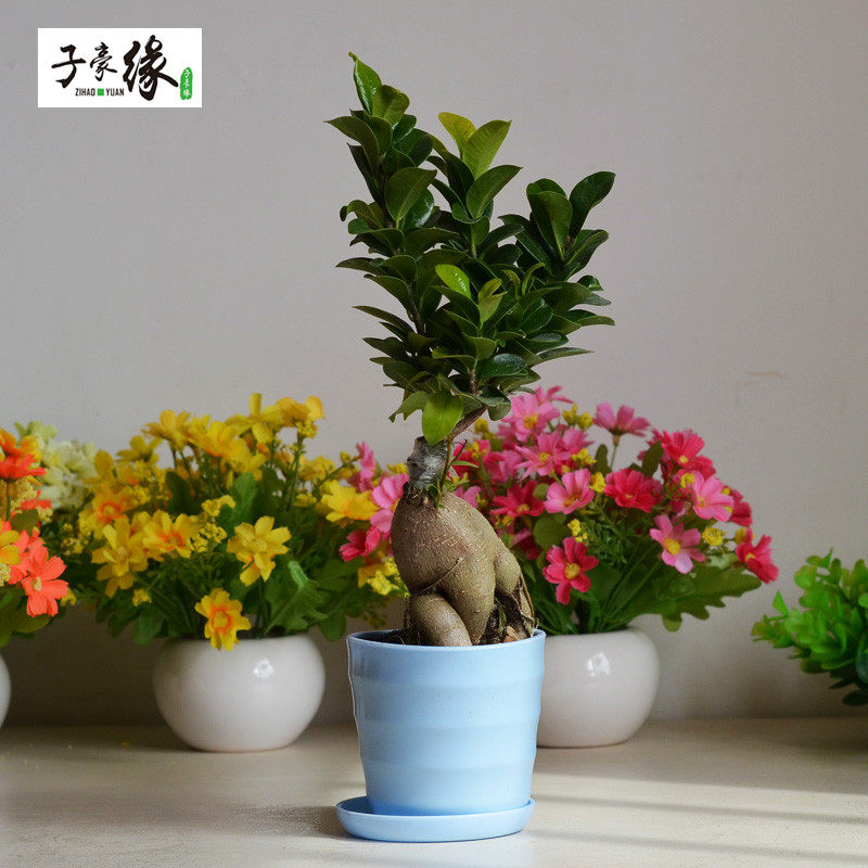 �Ӻ�Ե��������������